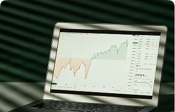 Data Analyst